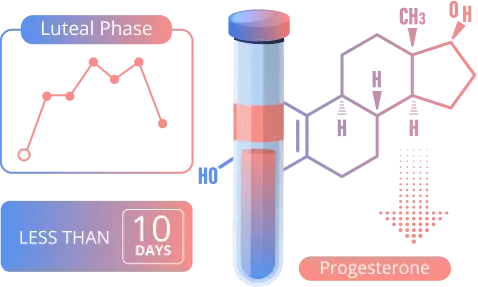 Luteal Phase Deficiency (LPD)