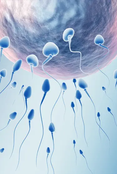 Male Infertility